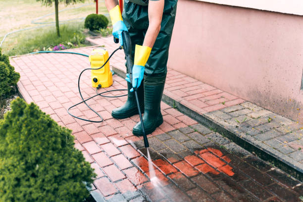 Best Driveway Cleaning and Restoration in USA